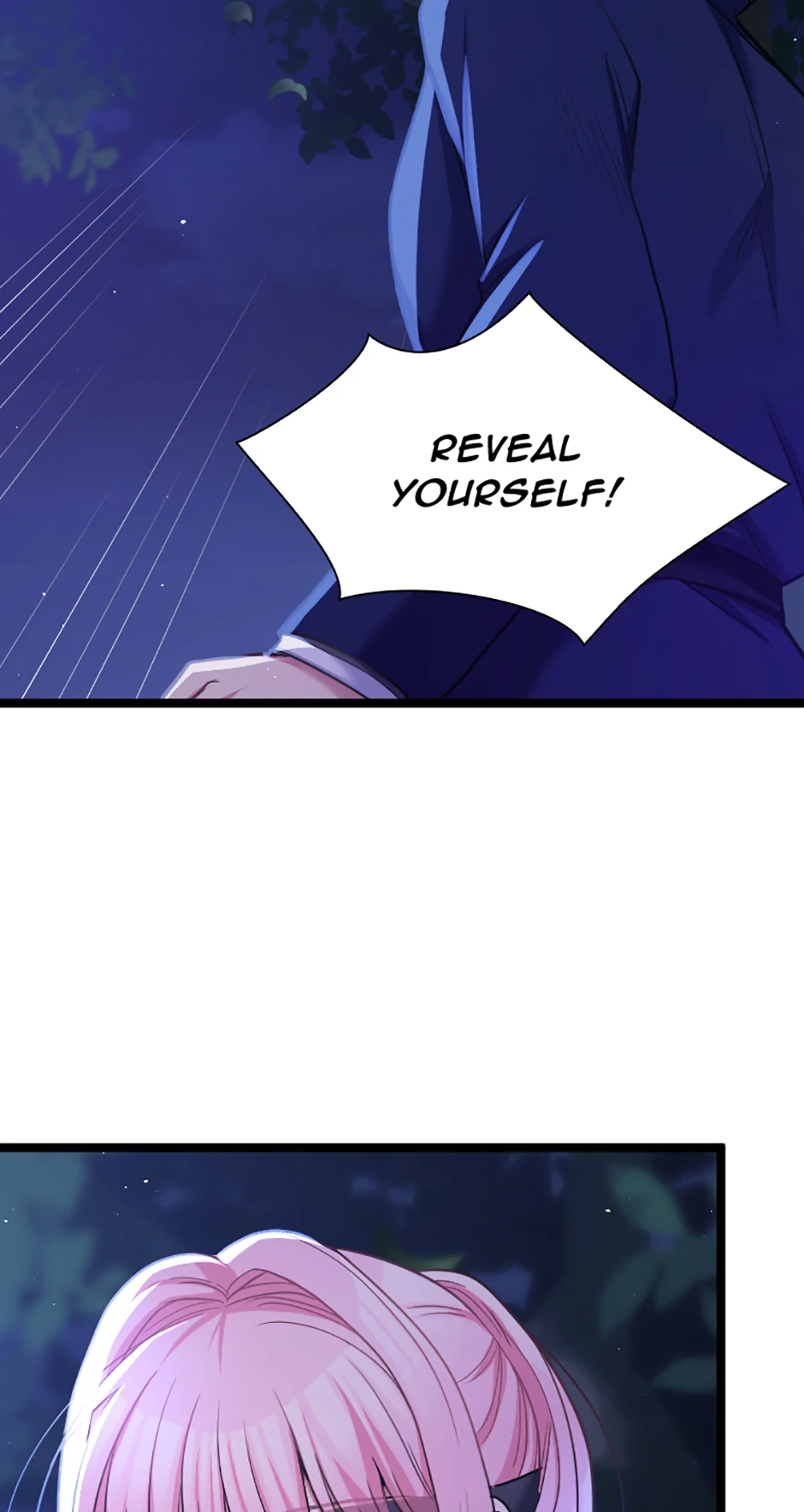 Lady of Iron Wall chapter 72 page 11