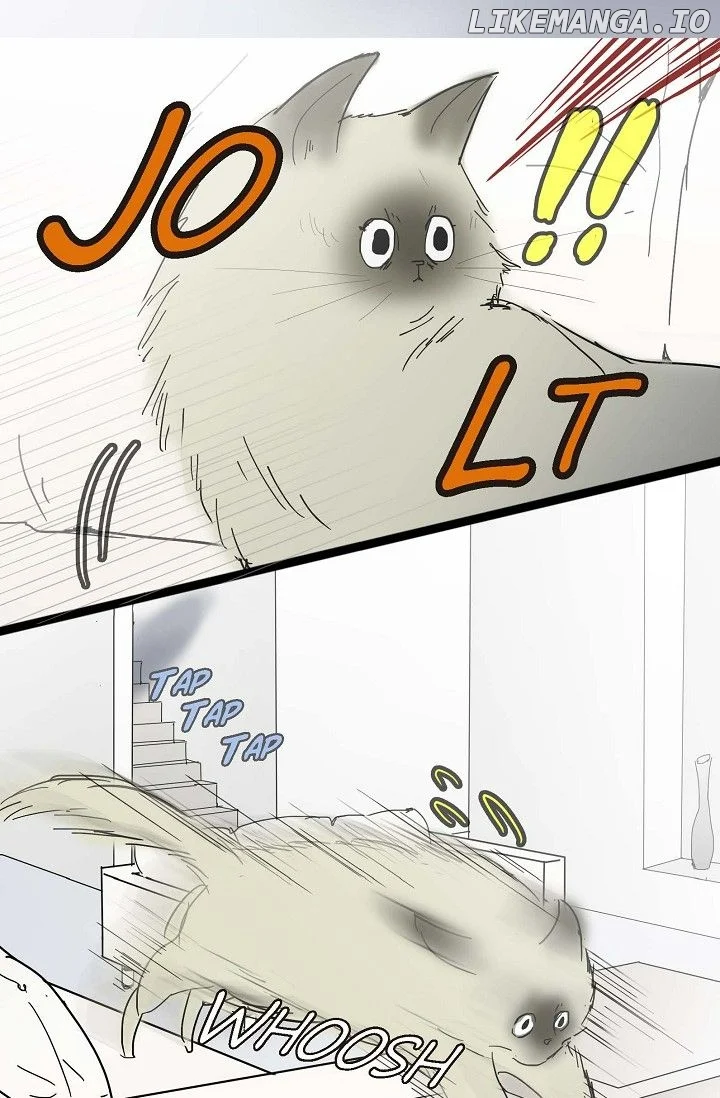 Clean with Passion for Now [Official] chapter 12 page 7