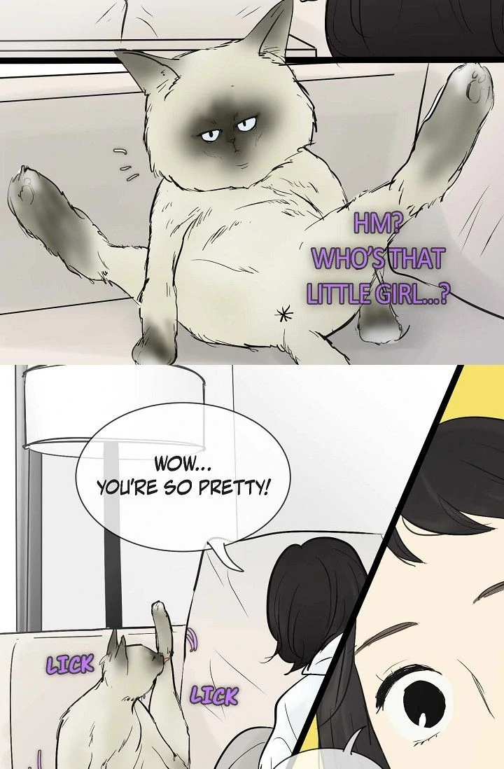 Clean with Passion for Now [Official] chapter 37 page 28