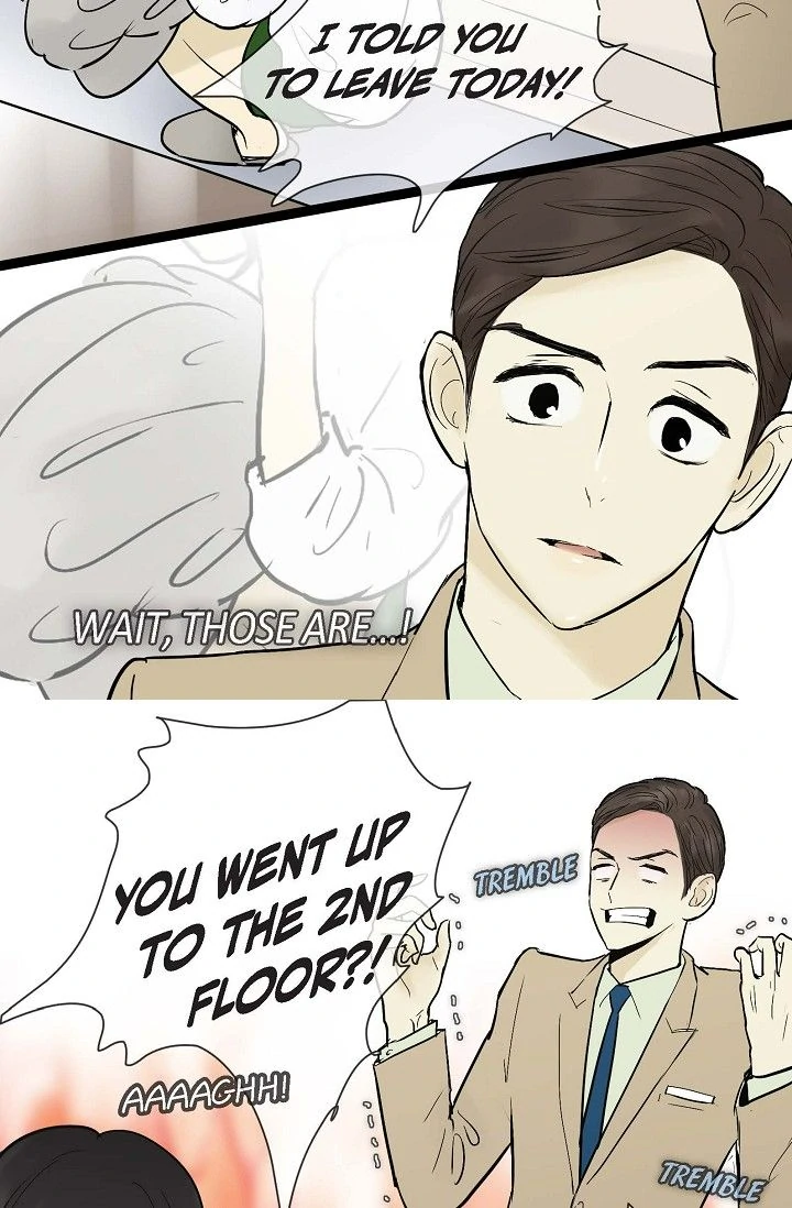 Clean with Passion for Now [Official] chapter 37 page 33