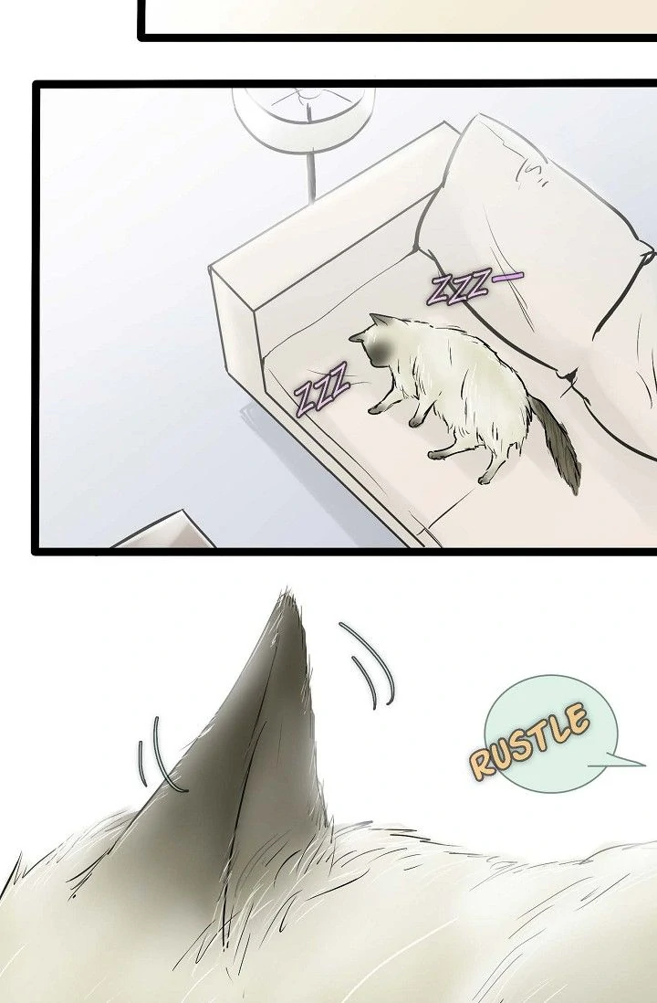 Clean with Passion for Now [Official] chapter 43 page 8