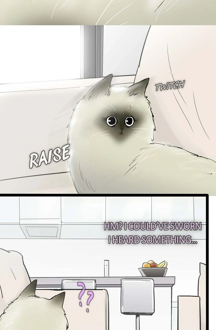 Clean with Passion for Now [Official] chapter 43 page 9
