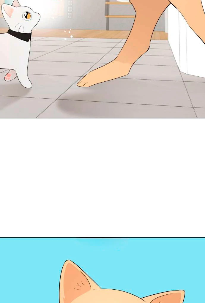 Obssesed butler chapter 13 page 47