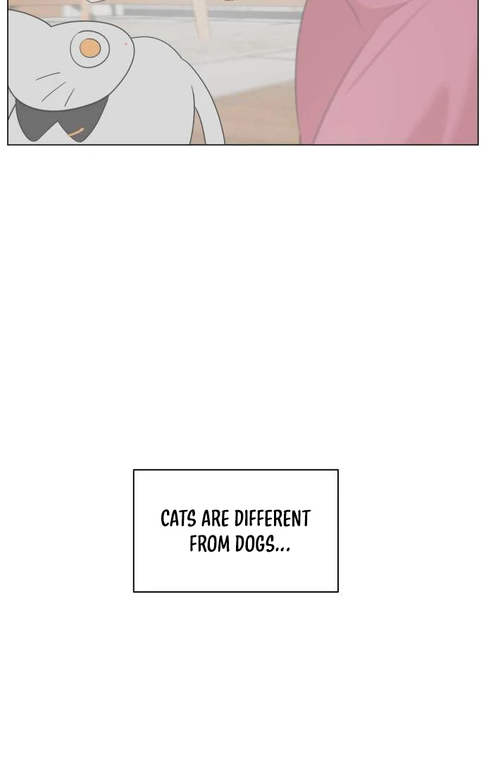 Obssesed butler chapter 14 page 48