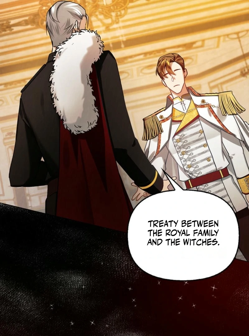 To the Witch Who Forgot the Birds chapter 2 page 17