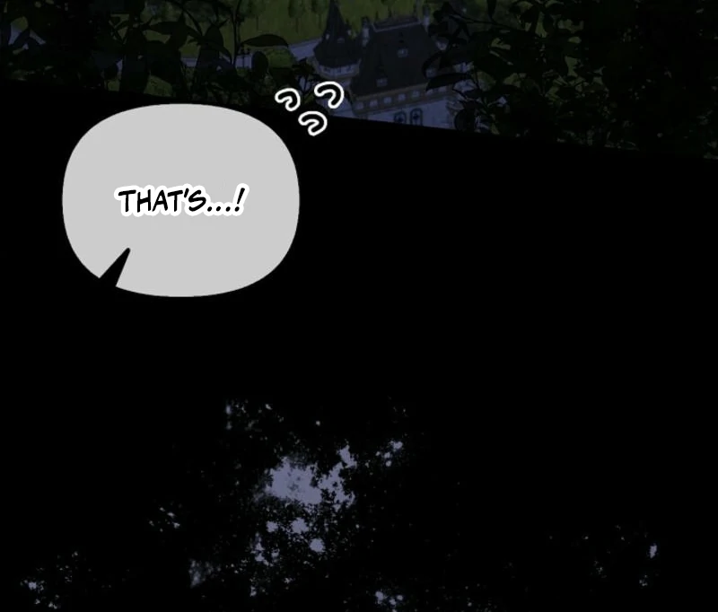 To the Witch Who Forgot the Birds chapter 2 page 200