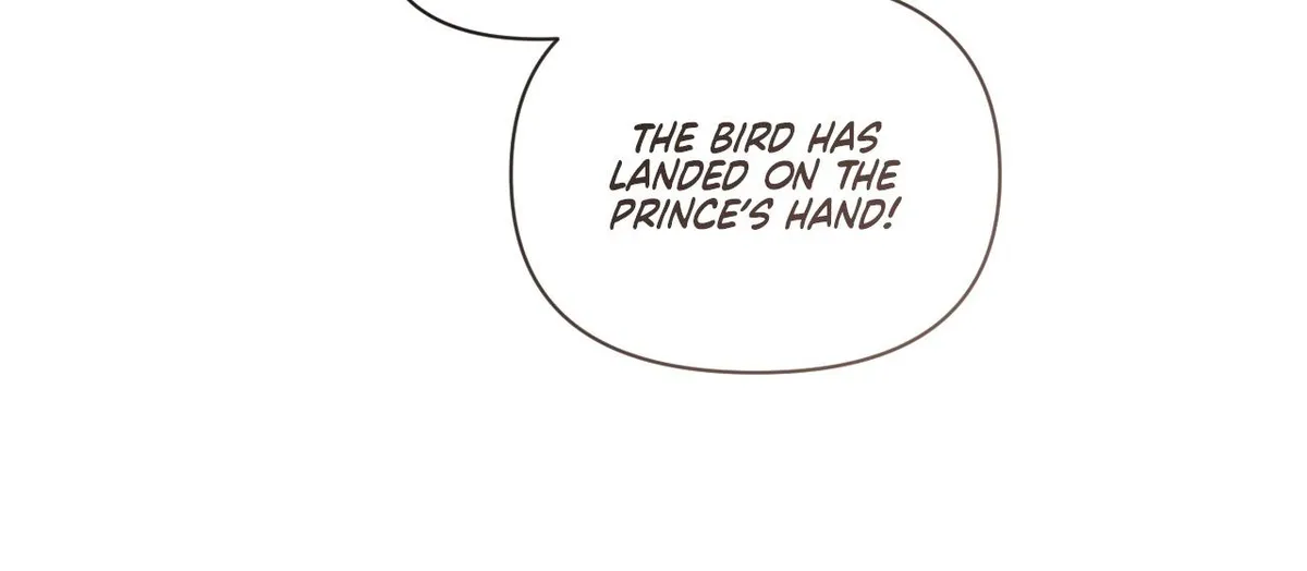 To the Witch Who Forgot the Birds chapter 49 page 103