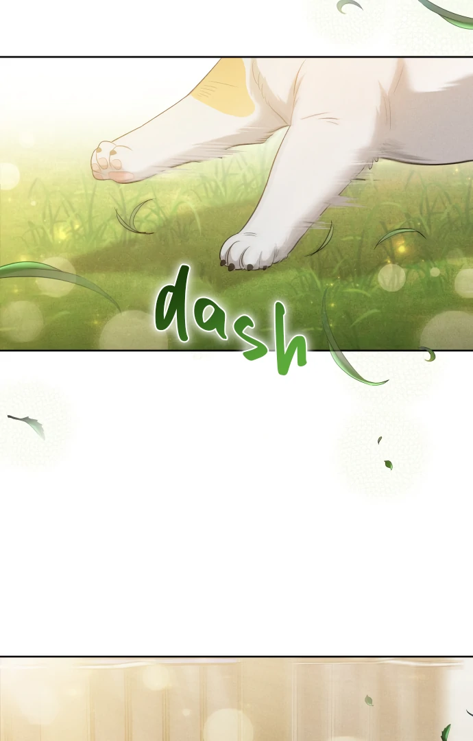 Doggy Romance chapter 1 page 71