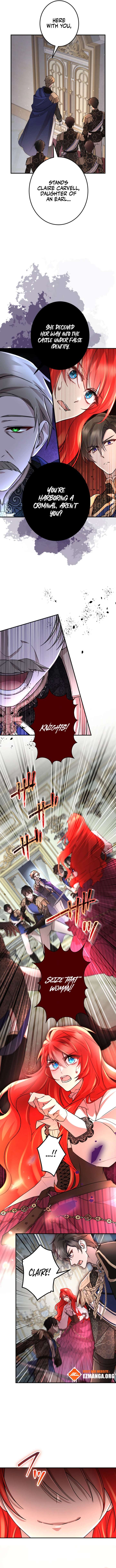 The Fake Lady and the Knight chapter 31 page 6