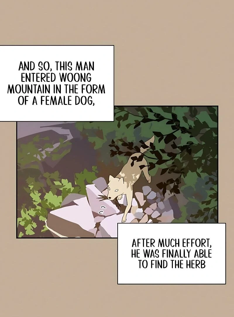 Today Is a Woman Day chapter 1 page 47