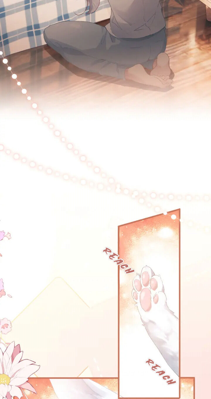 My Dear Fluffy Fox chapter 1 page 14