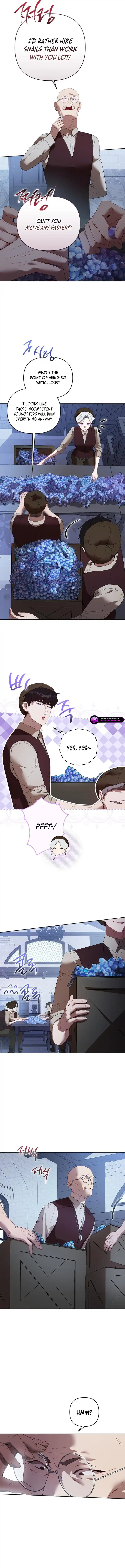 The Villainous Duke’s Pet Bird chapter 23 page 5
