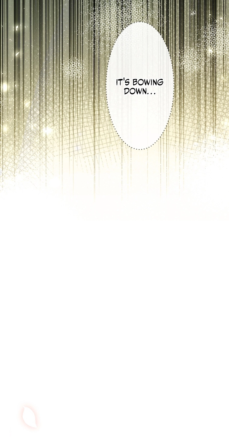 The Northern Warrior’s Beloved Bride chapter 59 page 82