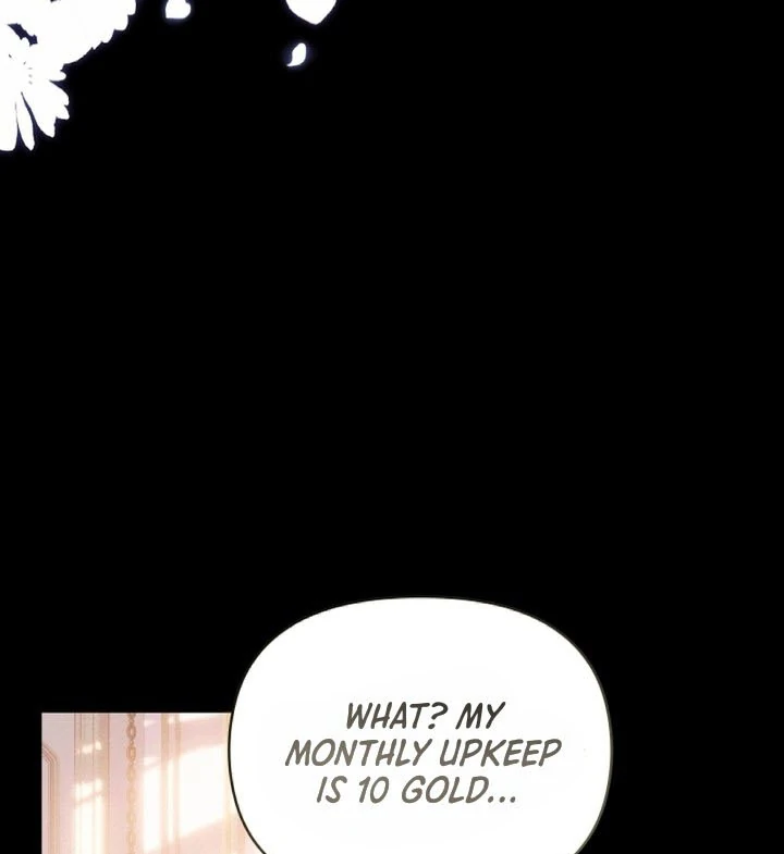 The Top 100 Young Lady chapter 13 page 17