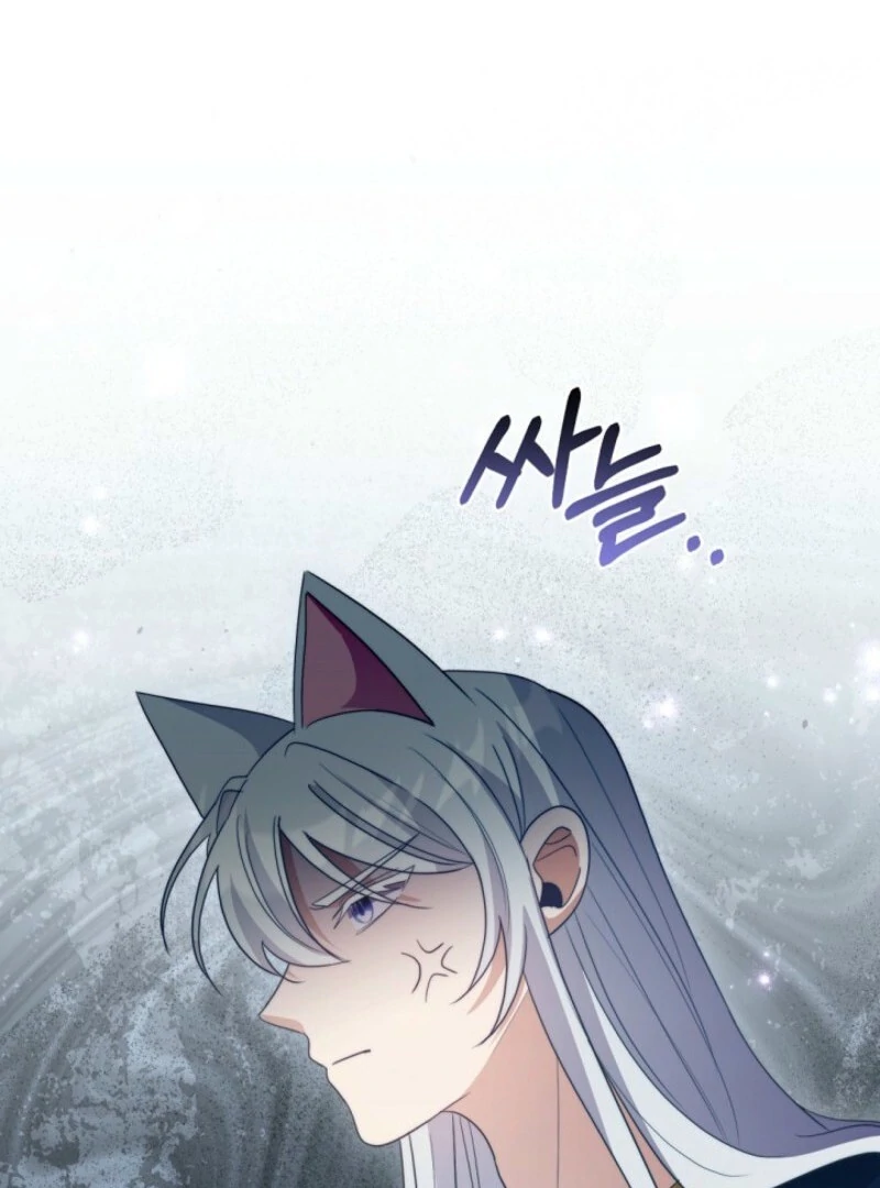 I Became the Wicked Beastman’s Catnip chapter 27 page 49