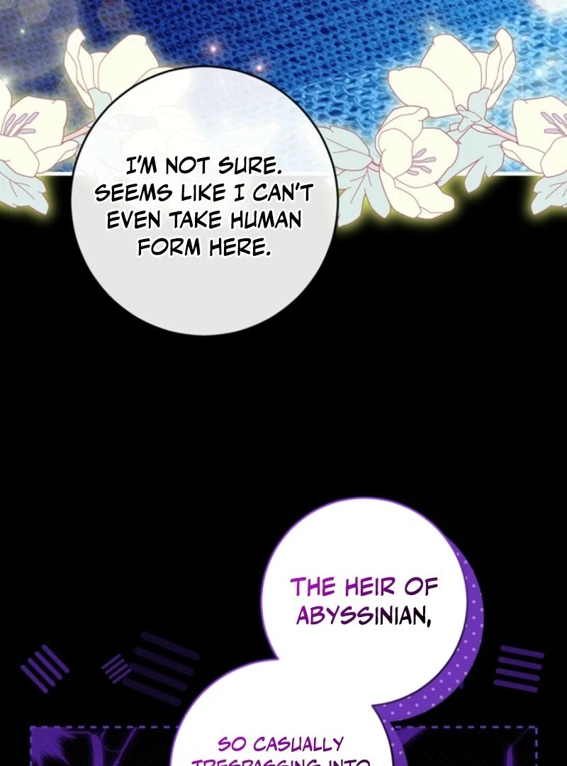I Became the Wicked Beastman’s Catnip chapter 33 page 75