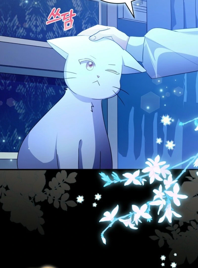 I Became the Wicked Beastman’s Catnip chapter 33 page 80