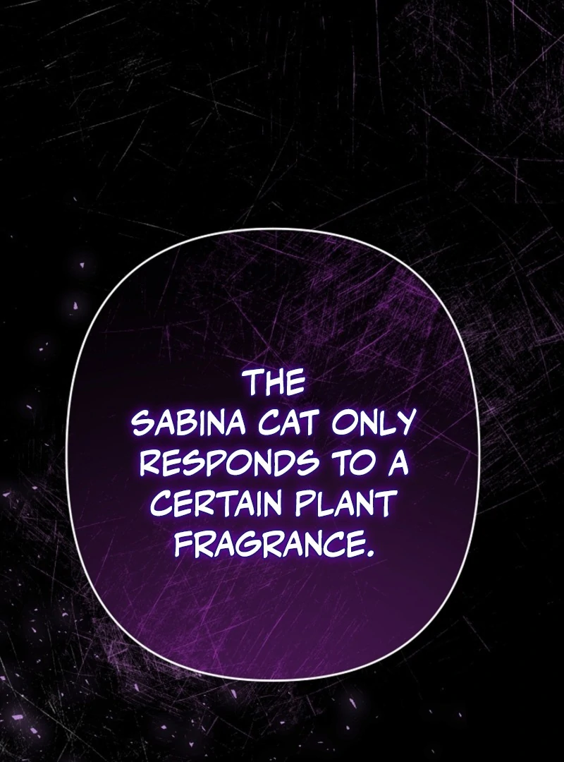 She Wasn’t My Daugther chapter 42 page 136
