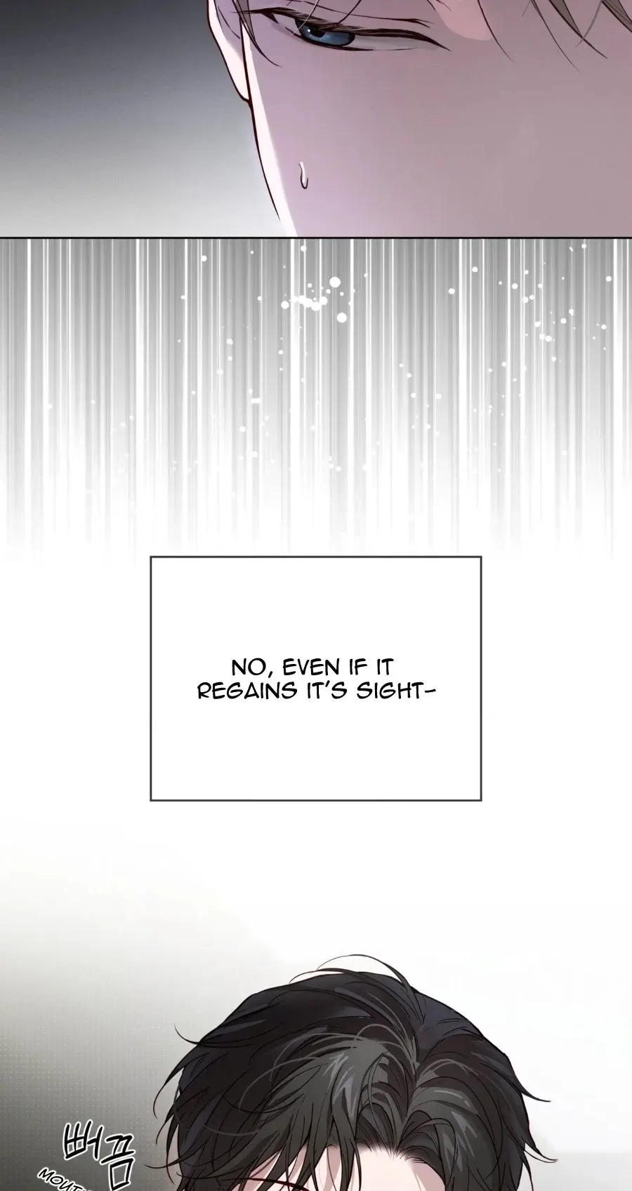 Passion Raga chapter 45 page 40