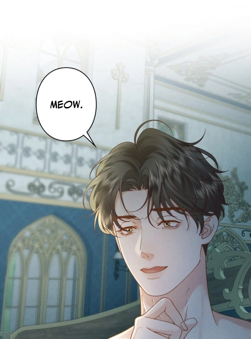 I Ran Away With My Contracted Husband chapter 1 page 23