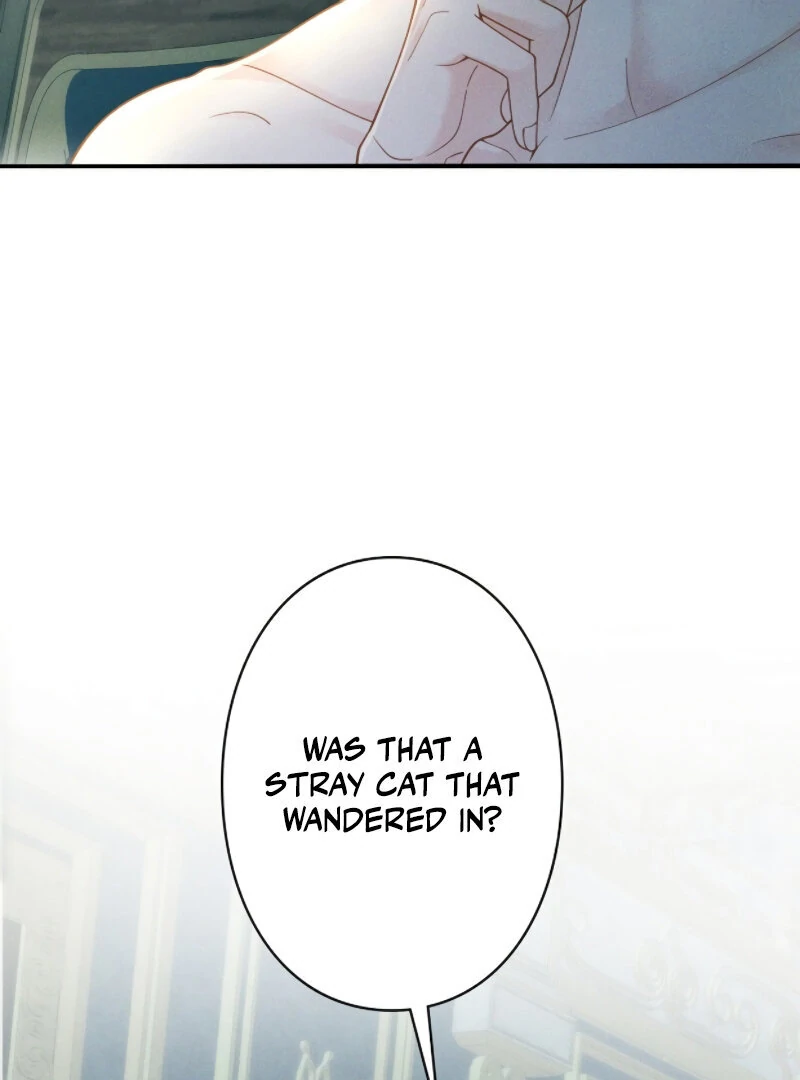 I Ran Away With My Contracted Husband chapter 1 page 24