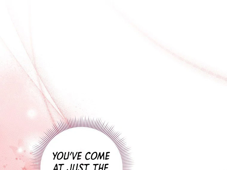 I Became The Male Leads’ Target chapter 14 page 11