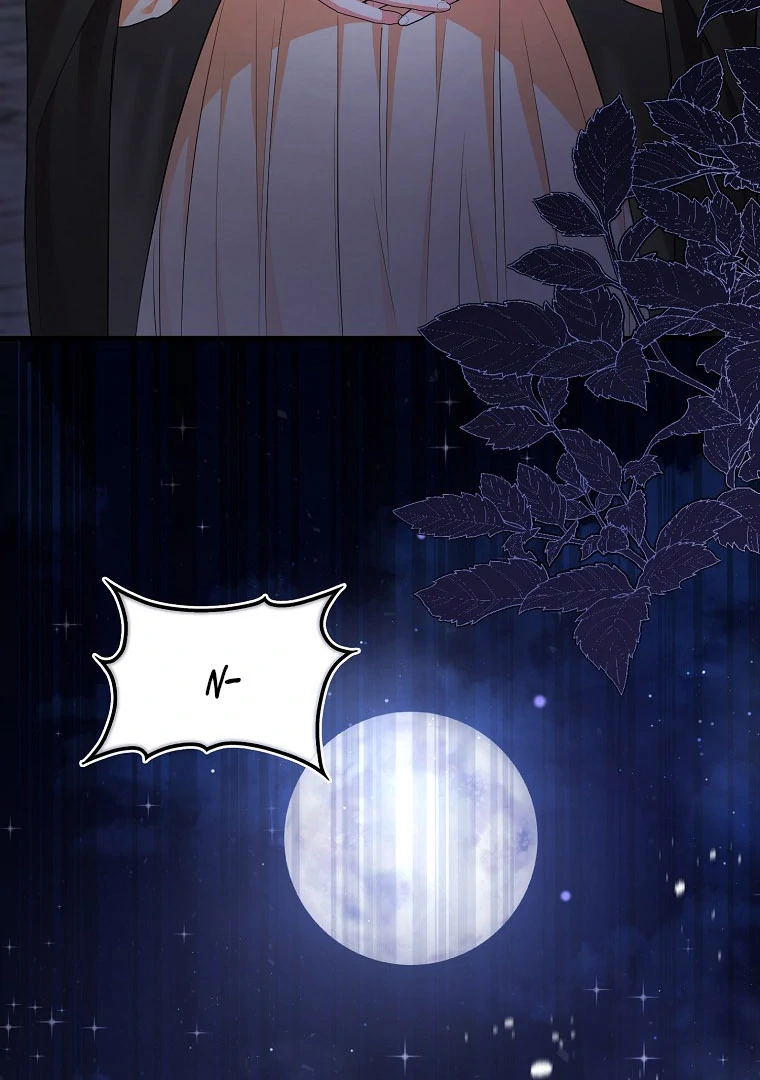 I Became The Male Leads’ Target chapter 14 page 71