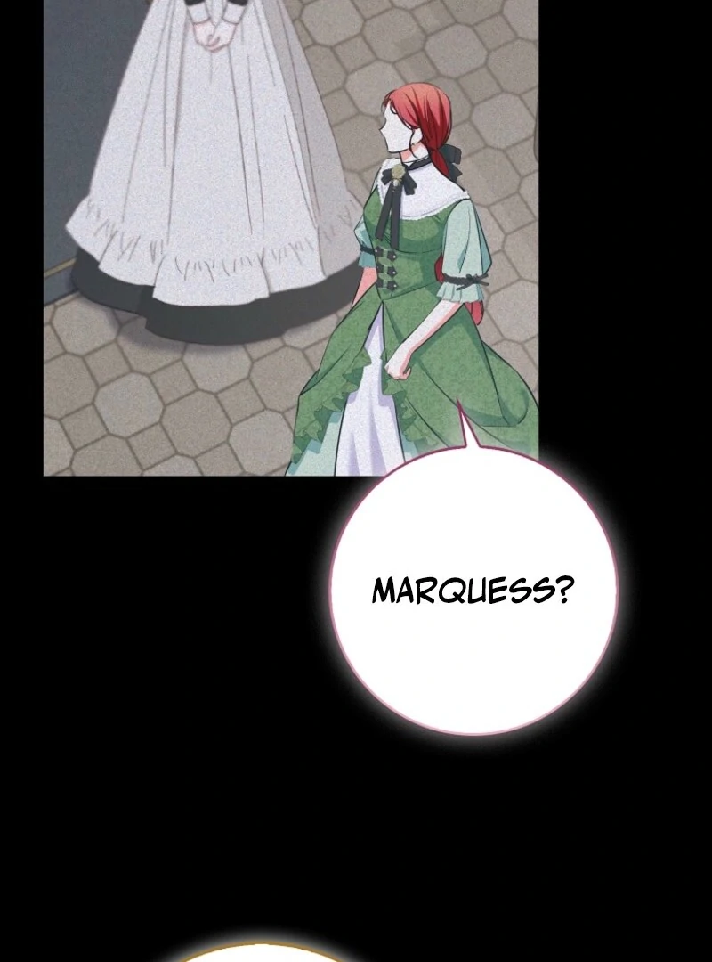 I Became The Male Leads’ Target chapter 27 page 71