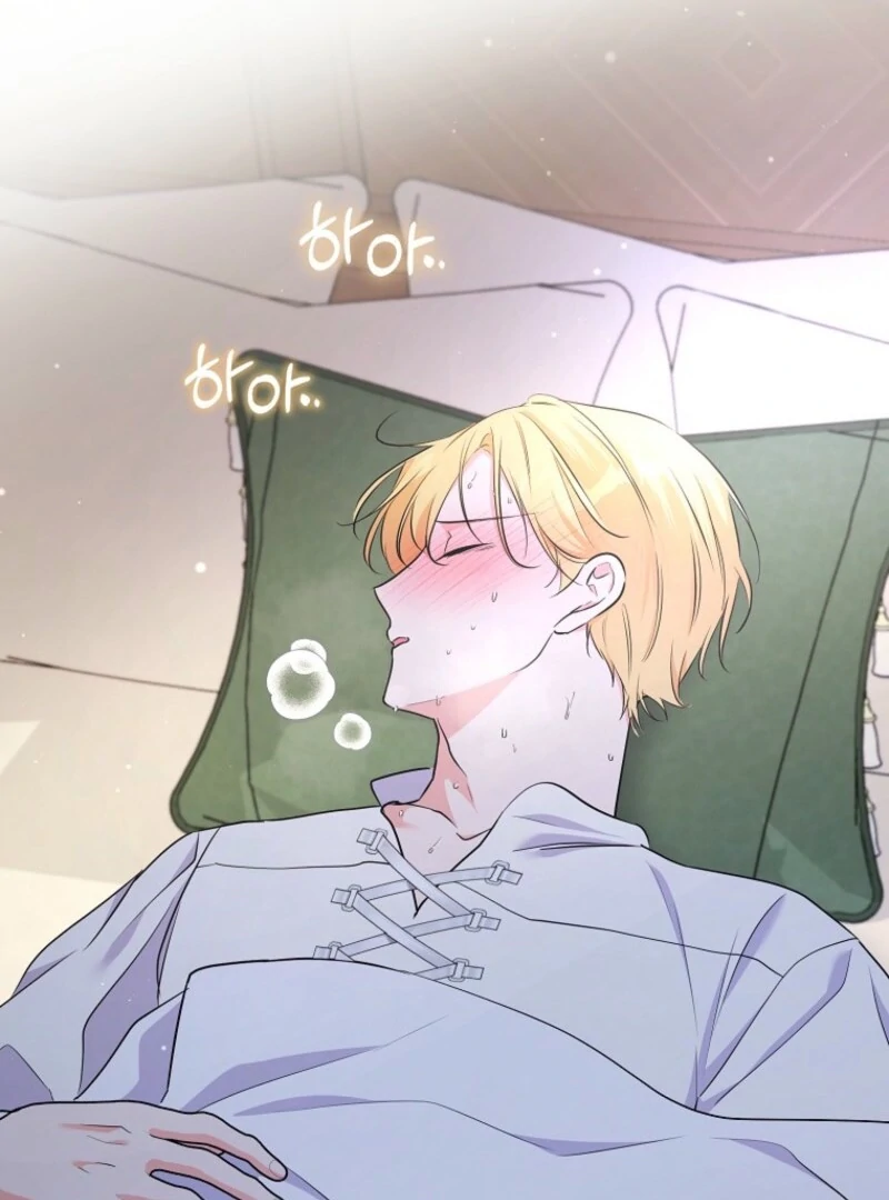 I Became The Male Leads’ Target chapter 28 page 17