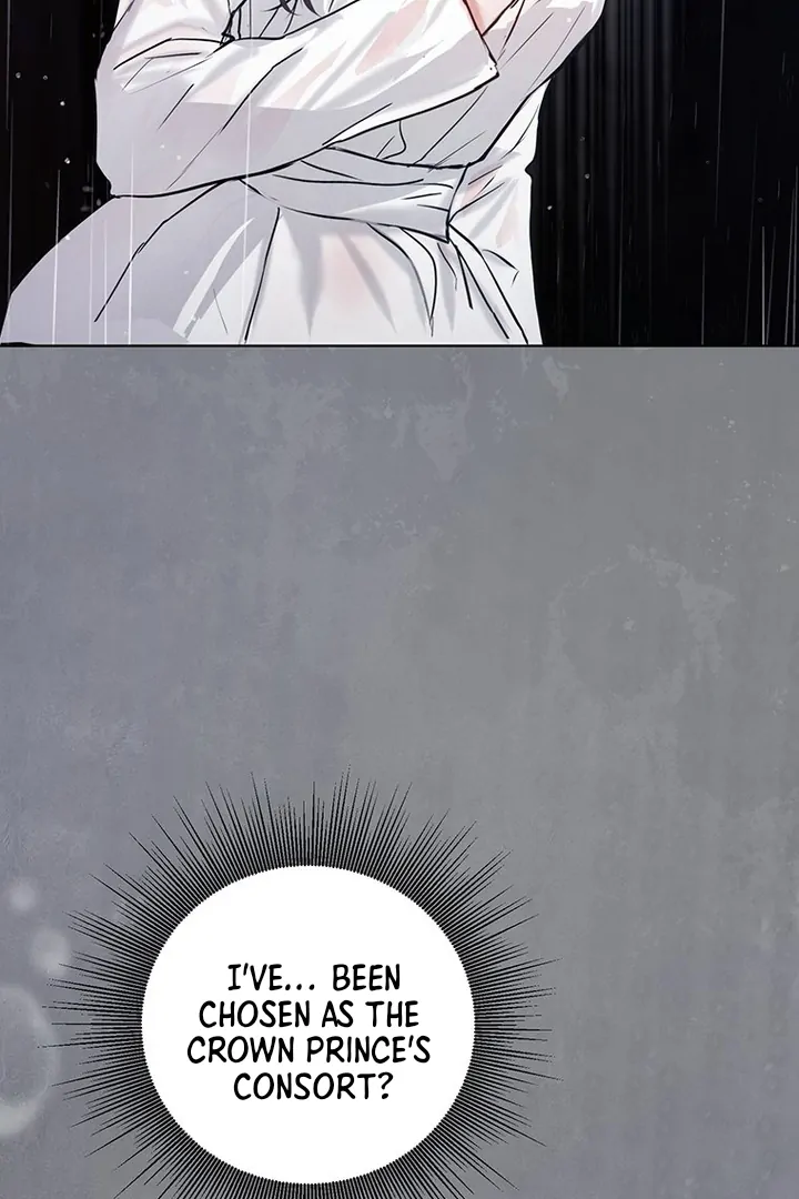 Dreamlike Illusion chapter 11 page 91