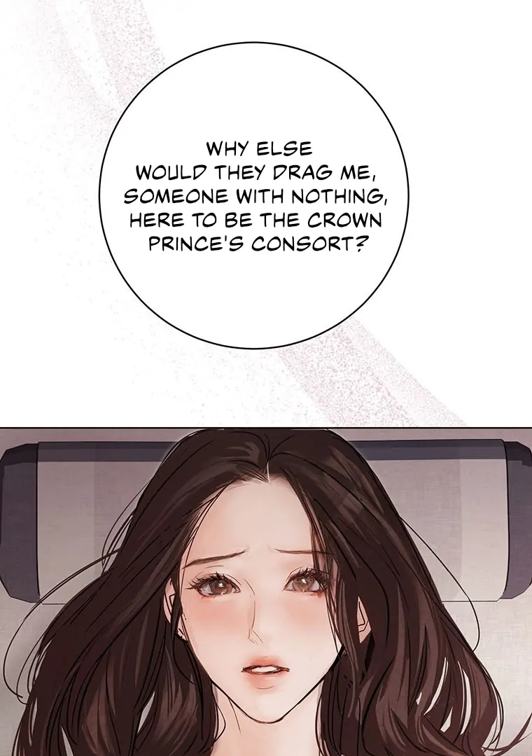 Dreamlike Illusion chapter 14 page 16