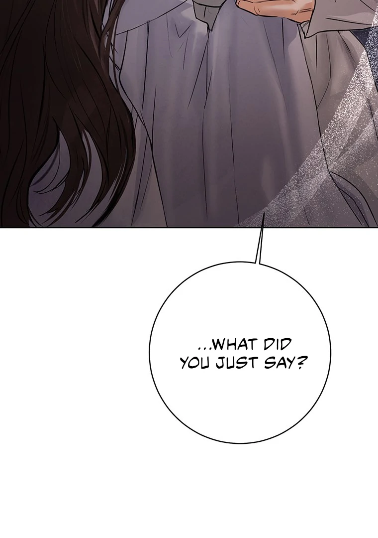Dreamlike Illusion chapter 14 page 8