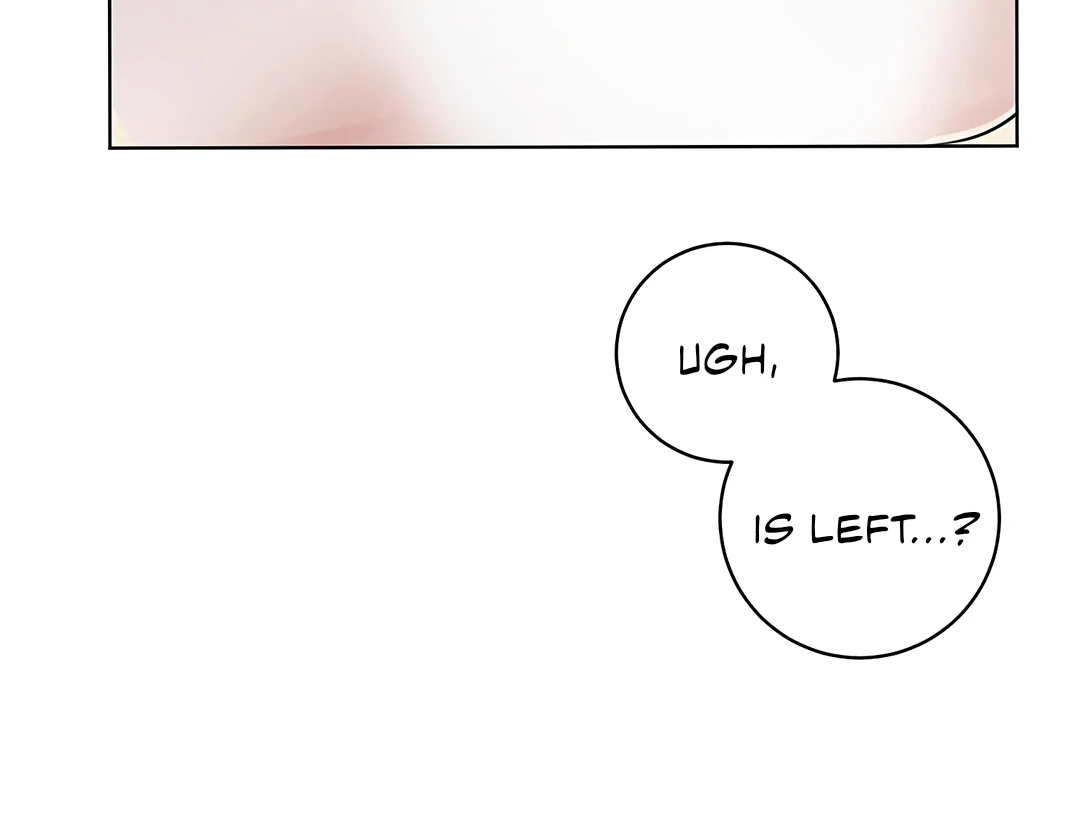 Dreamlike Illusion chapter 15 page 33