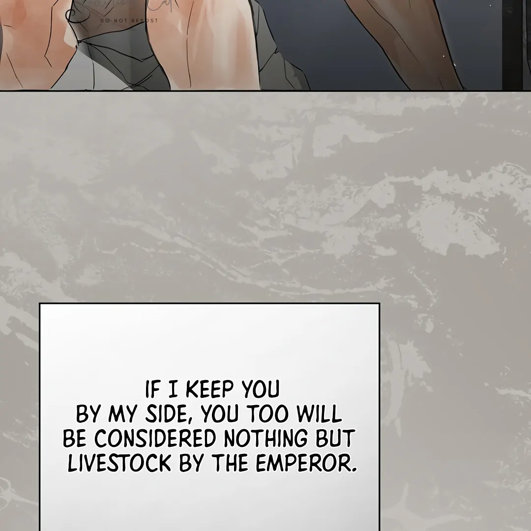 Dreamlike Illusion chapter 15 page 66