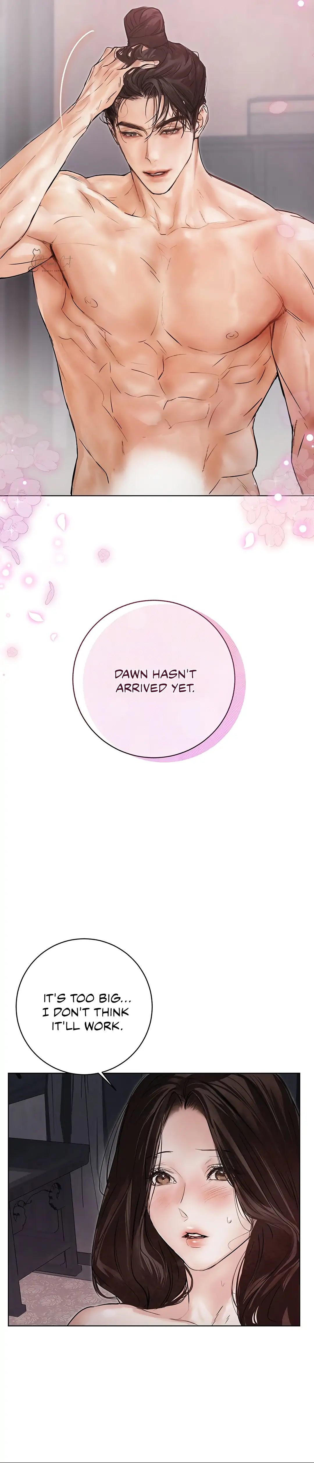 Dreamlike Illusion chapter 15 page 8