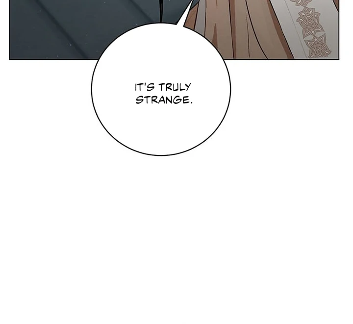 Dreamlike Illusion chapter 2 page 74