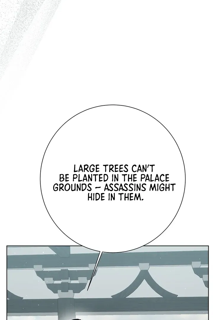 Dreamlike Illusion chapter 26 page 67