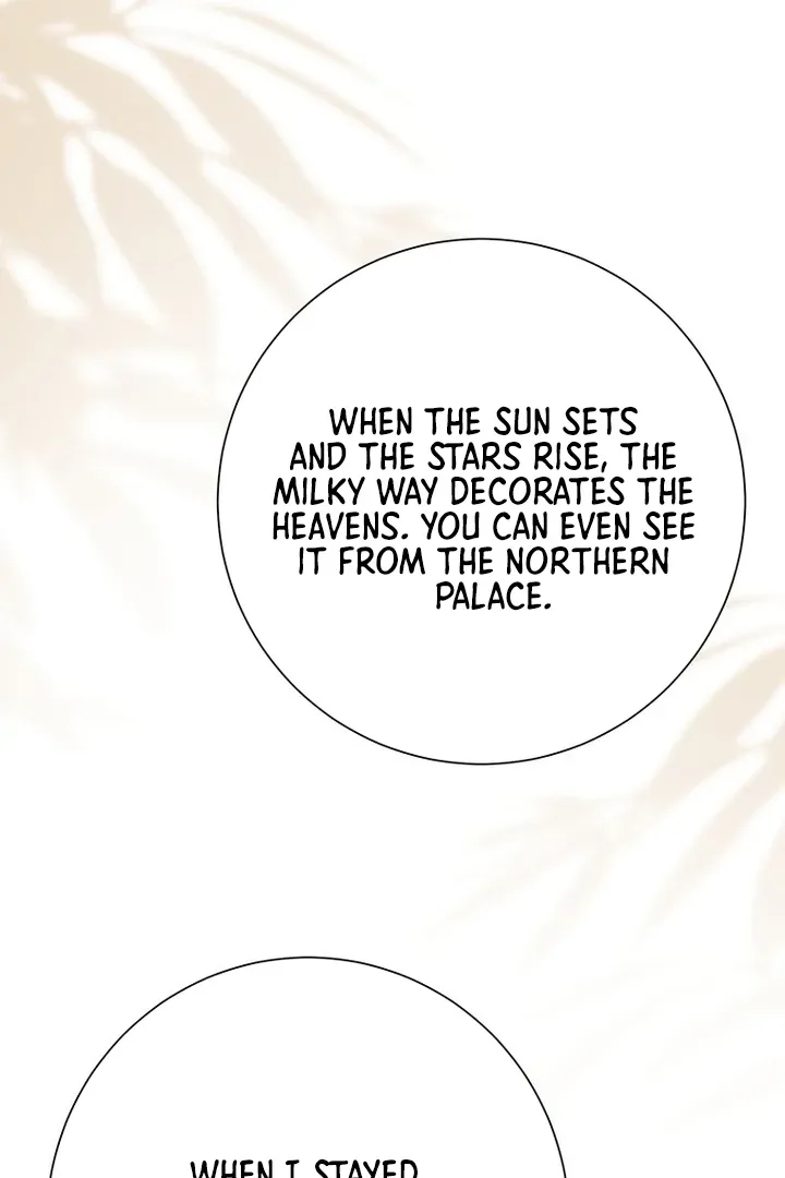 Dreamlike Illusion chapter 26 page 26
