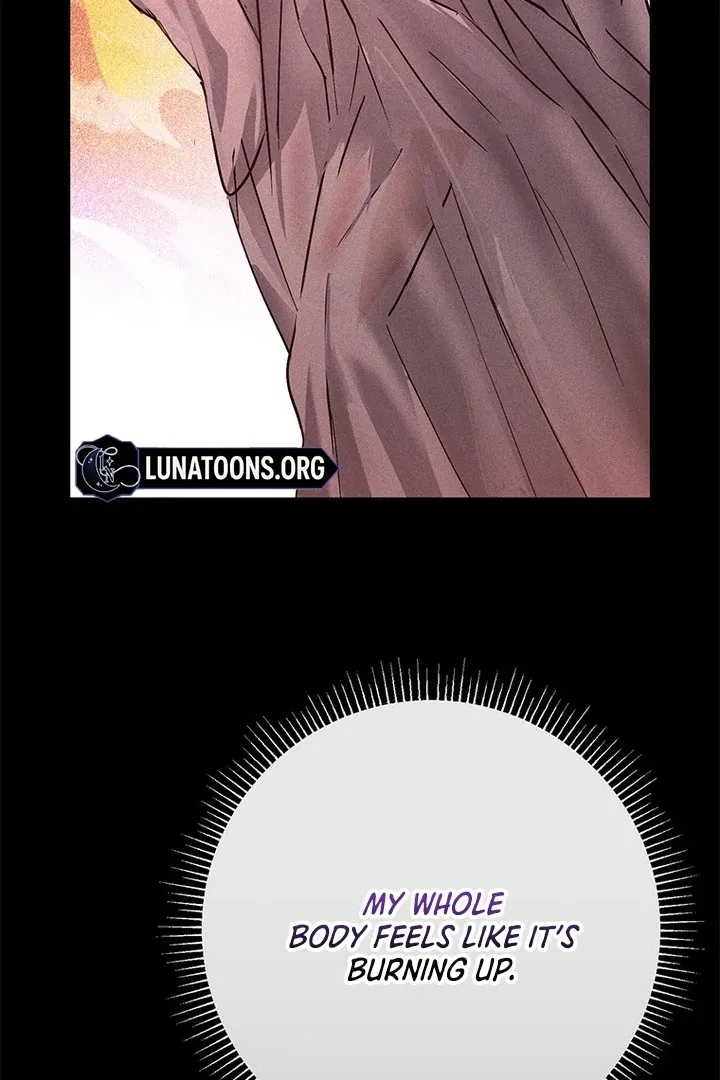 Dreamlike Illusion chapter 32 page 65