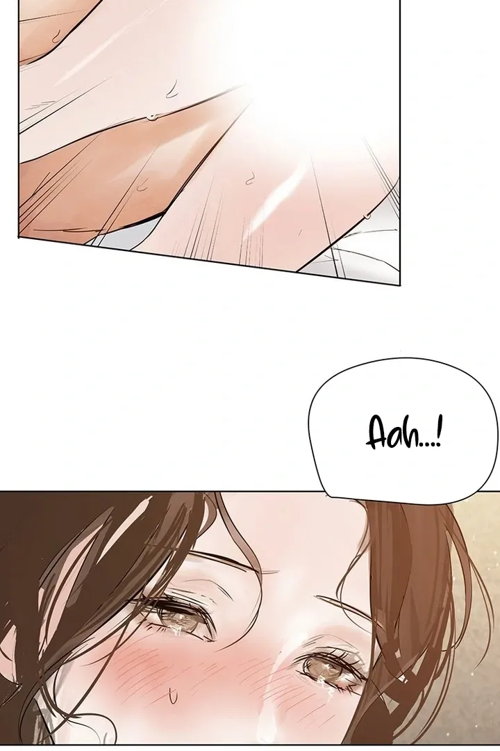 Dreamlike Illusion chapter 34 page 61