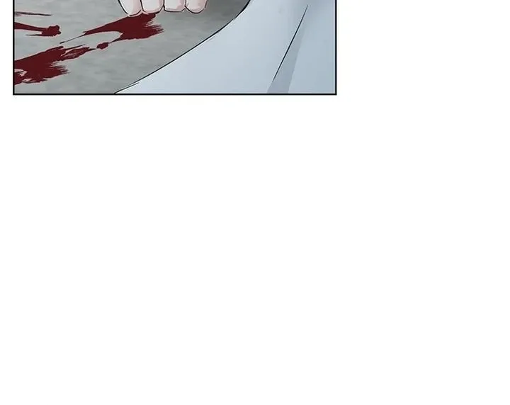 Dreamlike Illusion chapter 35 page 14