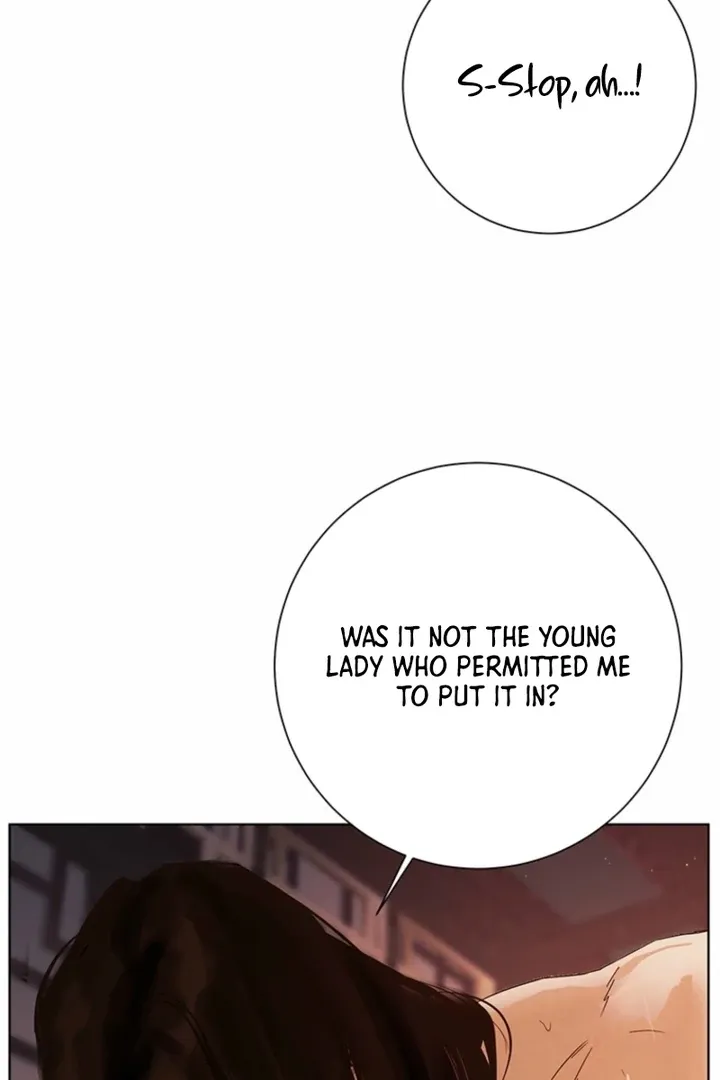 Dreamlike Illusion chapter 36 page 33