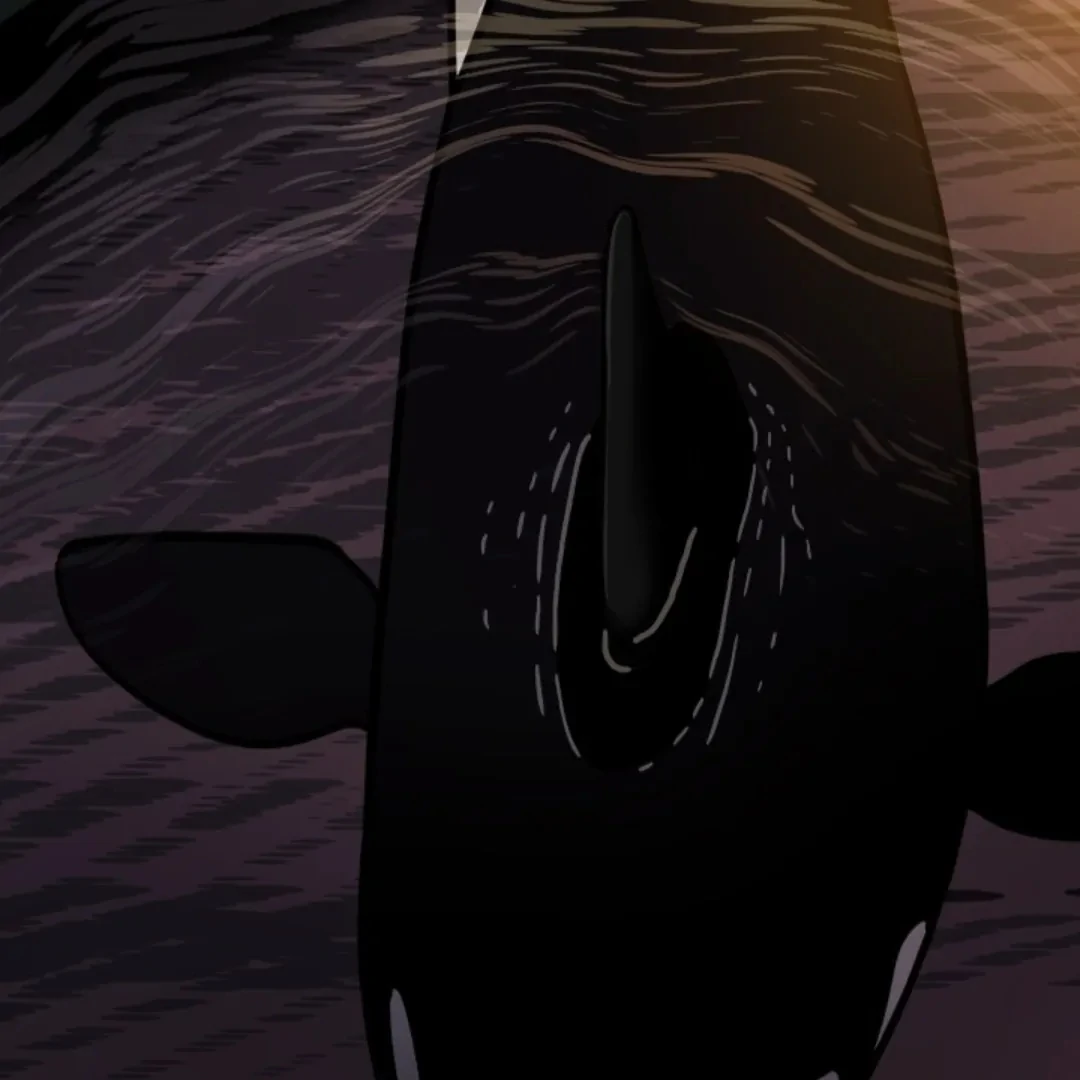 Incident Named Tsunami: Killer Whale Hunting Method chapter 3 page 5