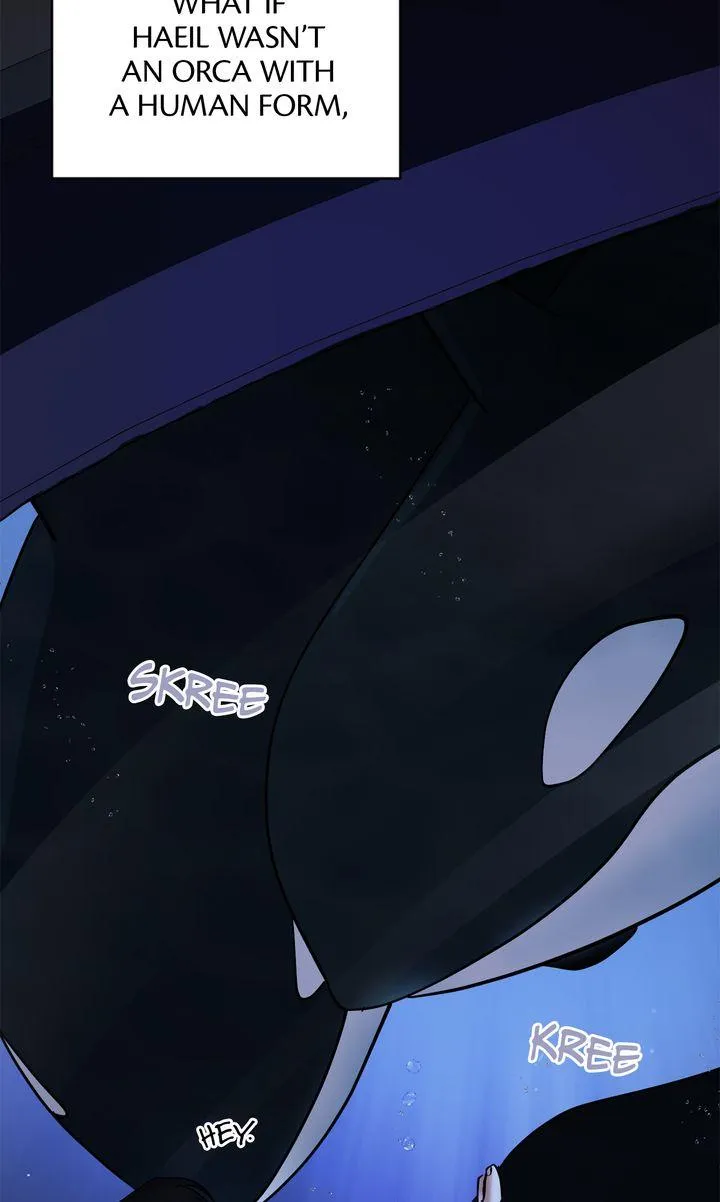 Incident Named Tsunami: Killer Whale Hunting Method chapter 36 page 62