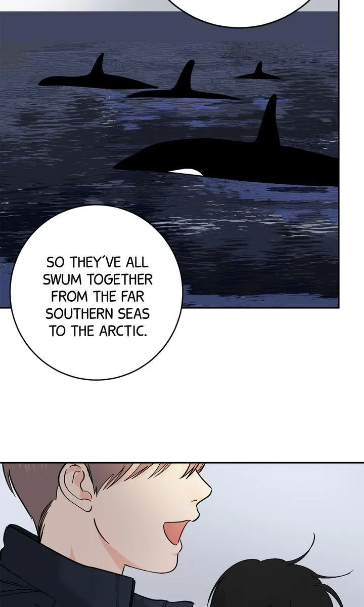 Incident Named Tsunami: Killer Whale Hunting Method chapter 40 page 38