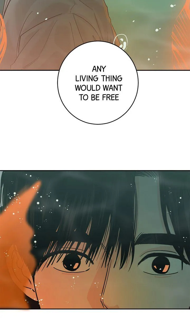 Incident Named Tsunami: Killer Whale Hunting Method chapter 44 page 85