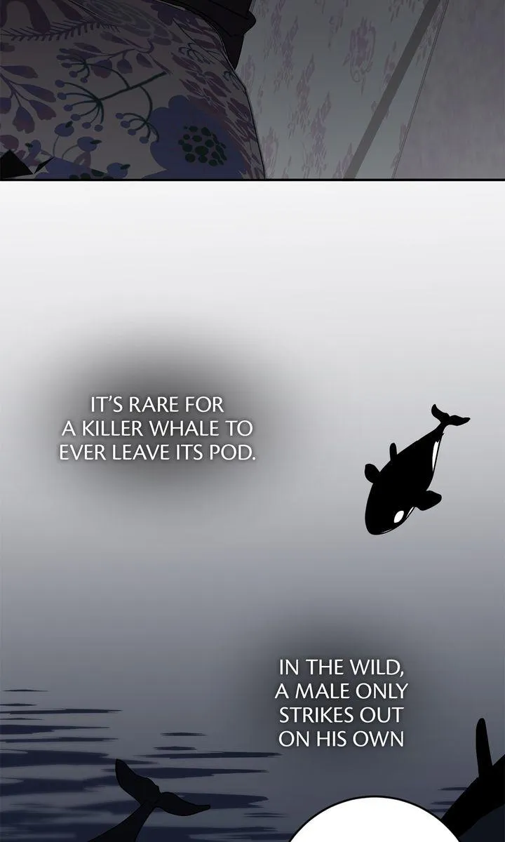Incident Named Tsunami: Killer Whale Hunting Method chapter 49 page 24