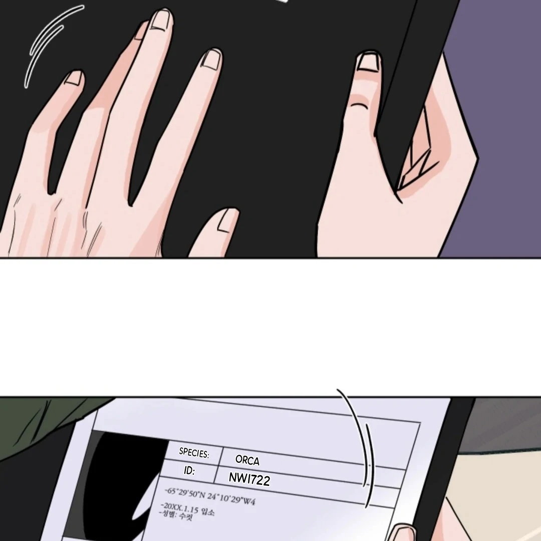 Incident Named Tsunami: Killer Whale Hunting Method chapter 5 page 39