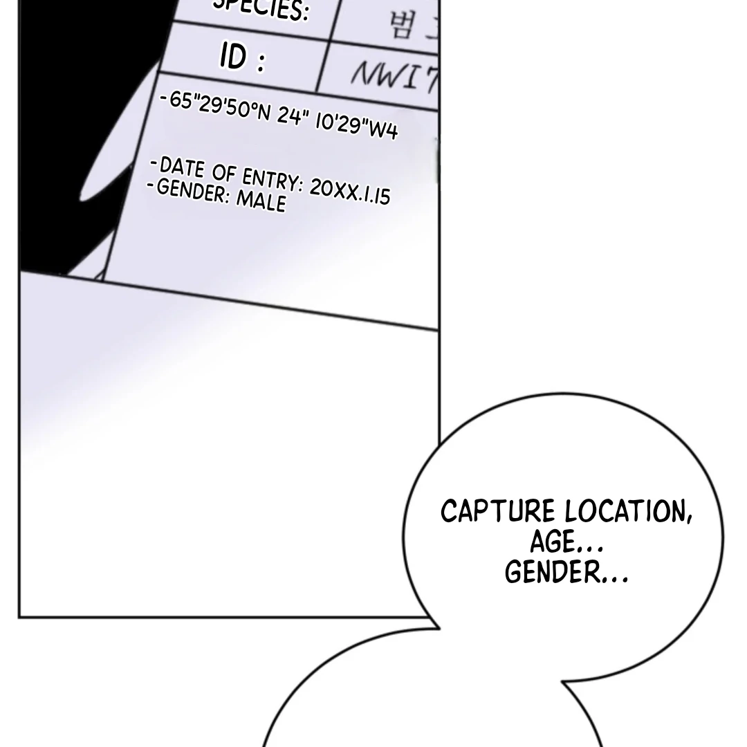 Incident Named Tsunami: Killer Whale Hunting Method chapter 5 page 41