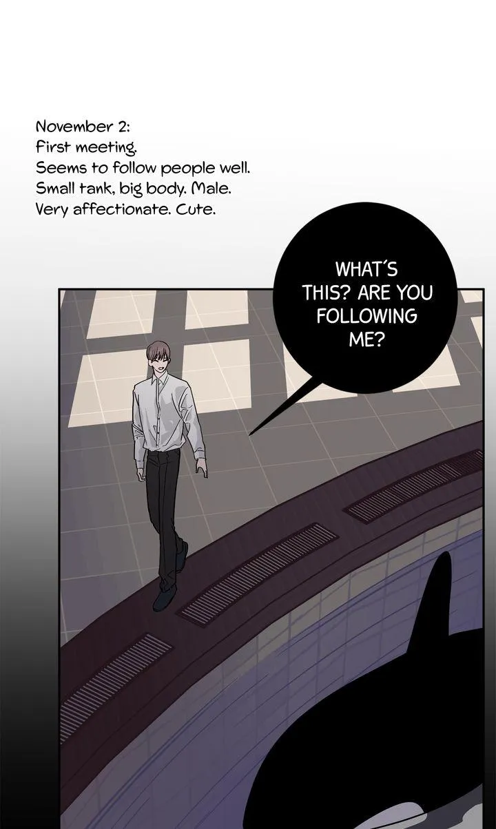 Incident Named Tsunami: Killer Whale Hunting Method chapter 55 page 37